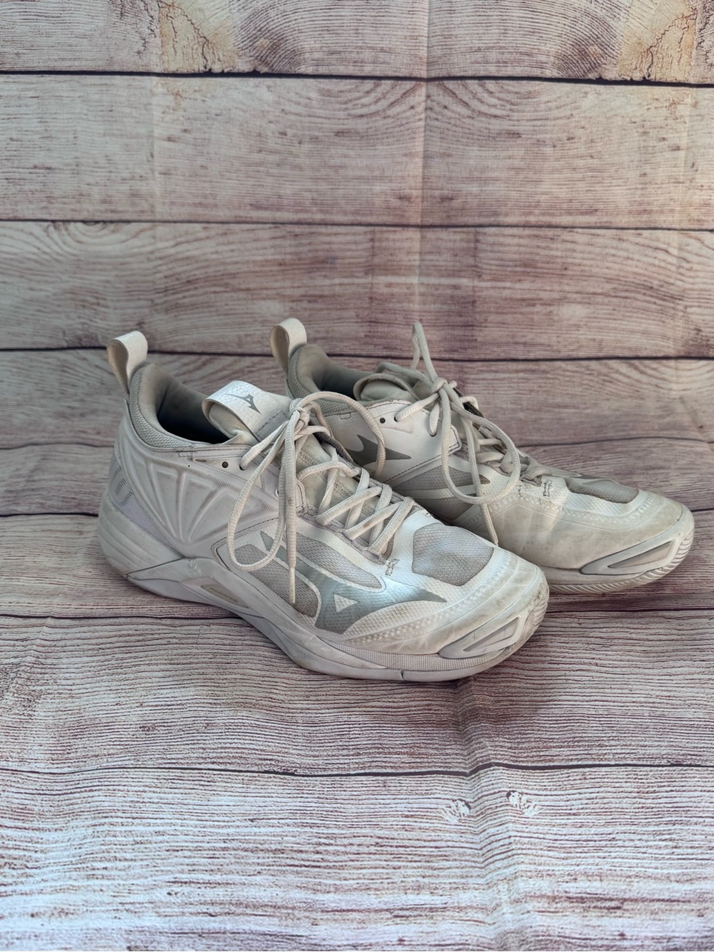 Mizuno Volleyball Court shoes